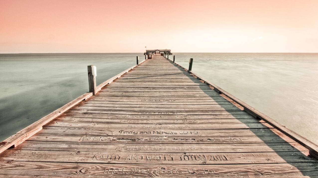 ins如何关闭发现用户_ins发现用户怎么关闭 - INS相关 - 55dz账号网