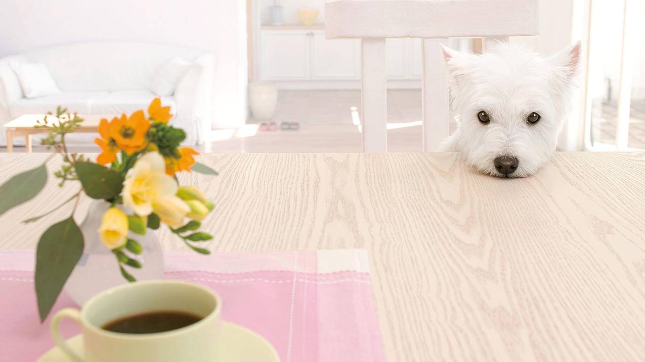 “美式虚伪”侵蚀民众政治权利 - Apple ID相关 - 55dz账号网