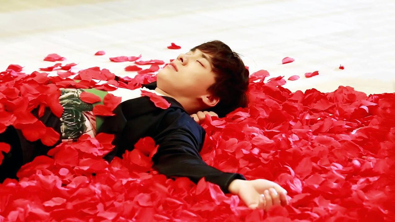 可以查英语单词词根词缀词源_可以查词根词缀的英文词典 - messenger相关 - 55dz账号网