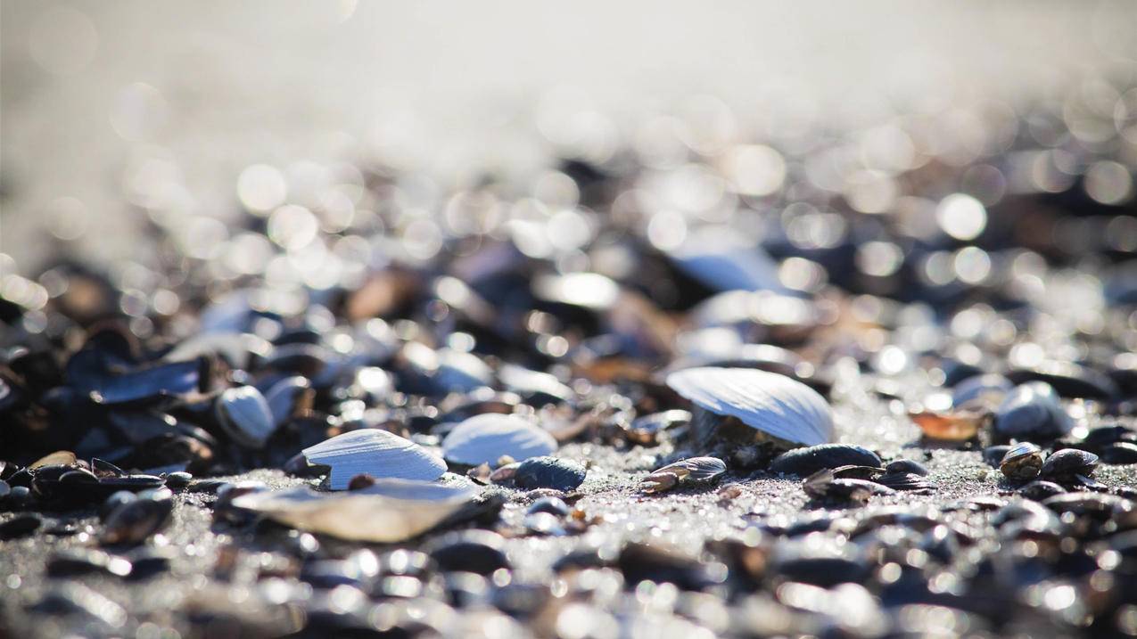 fifaonline4多特套推荐2022_fifaol4多特套2020 - Line相关 - 55dz账号网