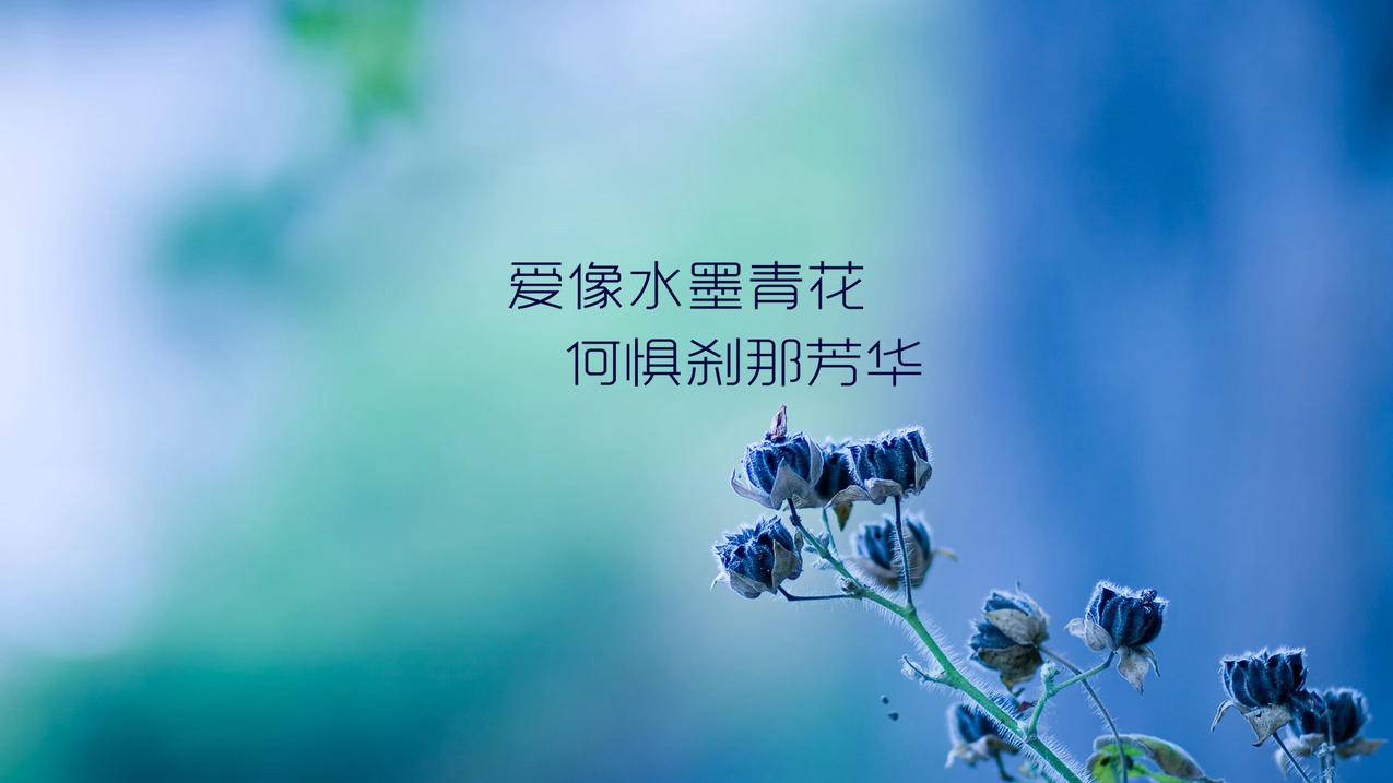 appleid共享账号如何不被另一个人看到_登陆过别人的apple id会共享吗 - Apple ID相关 - 55dz账号网