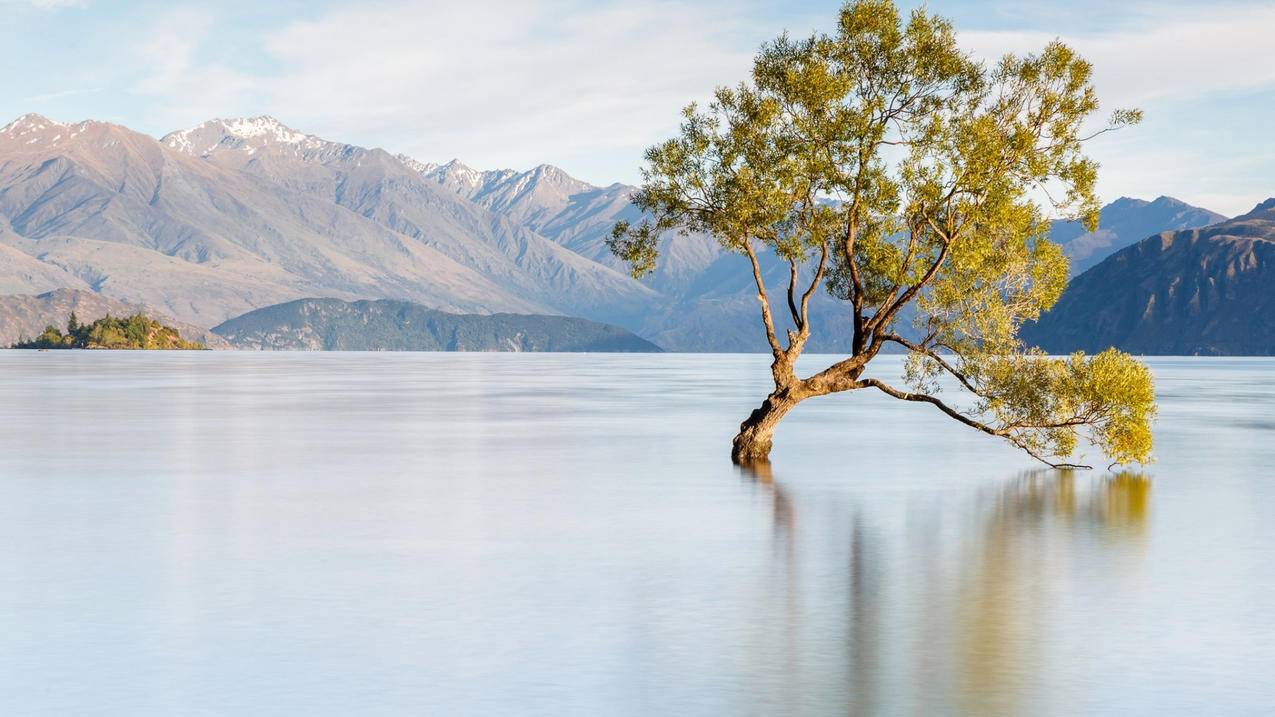 苹果ID被锁定,密码忘记如何解锁? ， 如何解苹果手机id密码锁  - 55dz账号网
