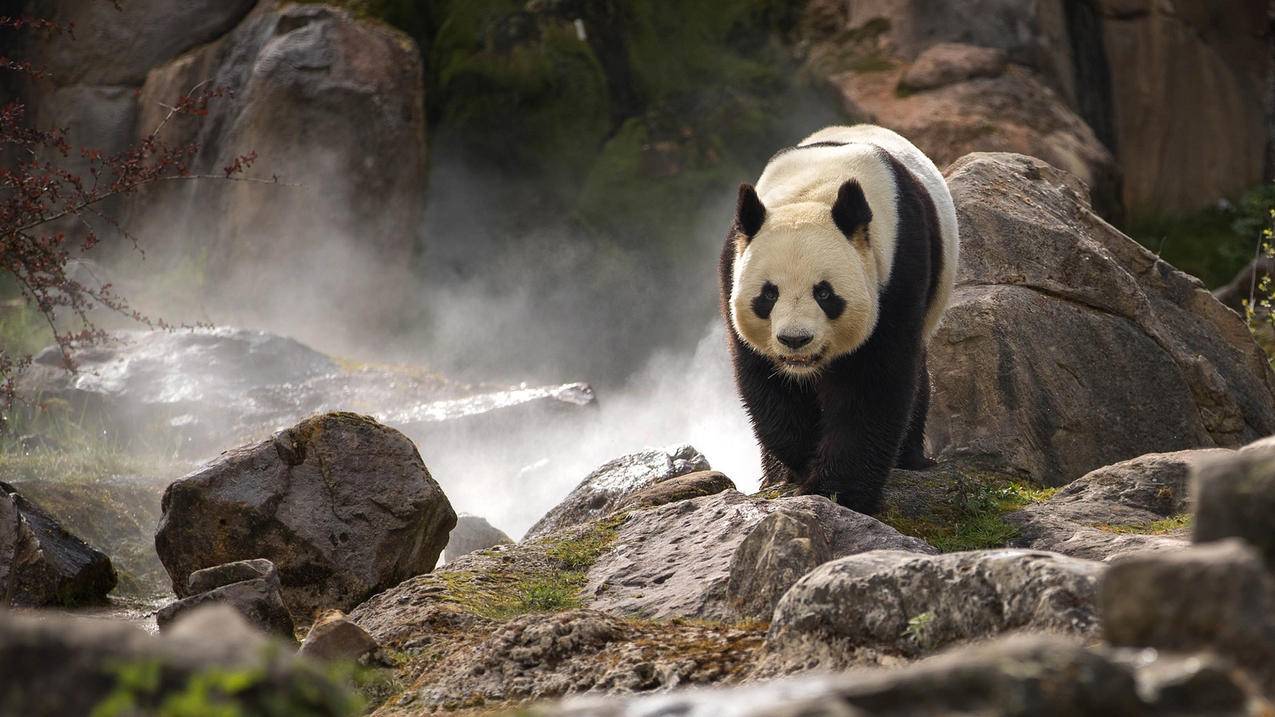 网易邮箱大师 gmail超时  ( 如何经过网易邮箱大师注册google账号 ) - 55dz账号网