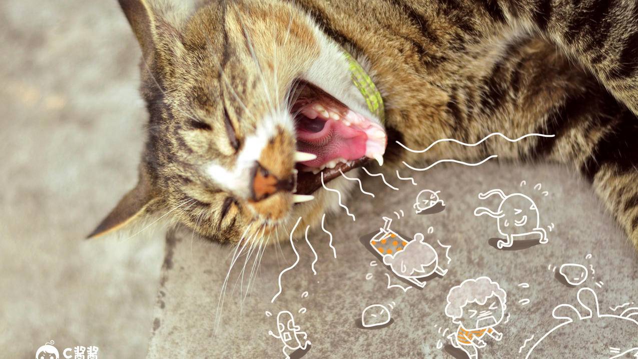 苹果xr的appleid密码忘记手机号也没有了_苹果xr密码忘了怎么办 没id - Apple ID相关 - 55dz账号网