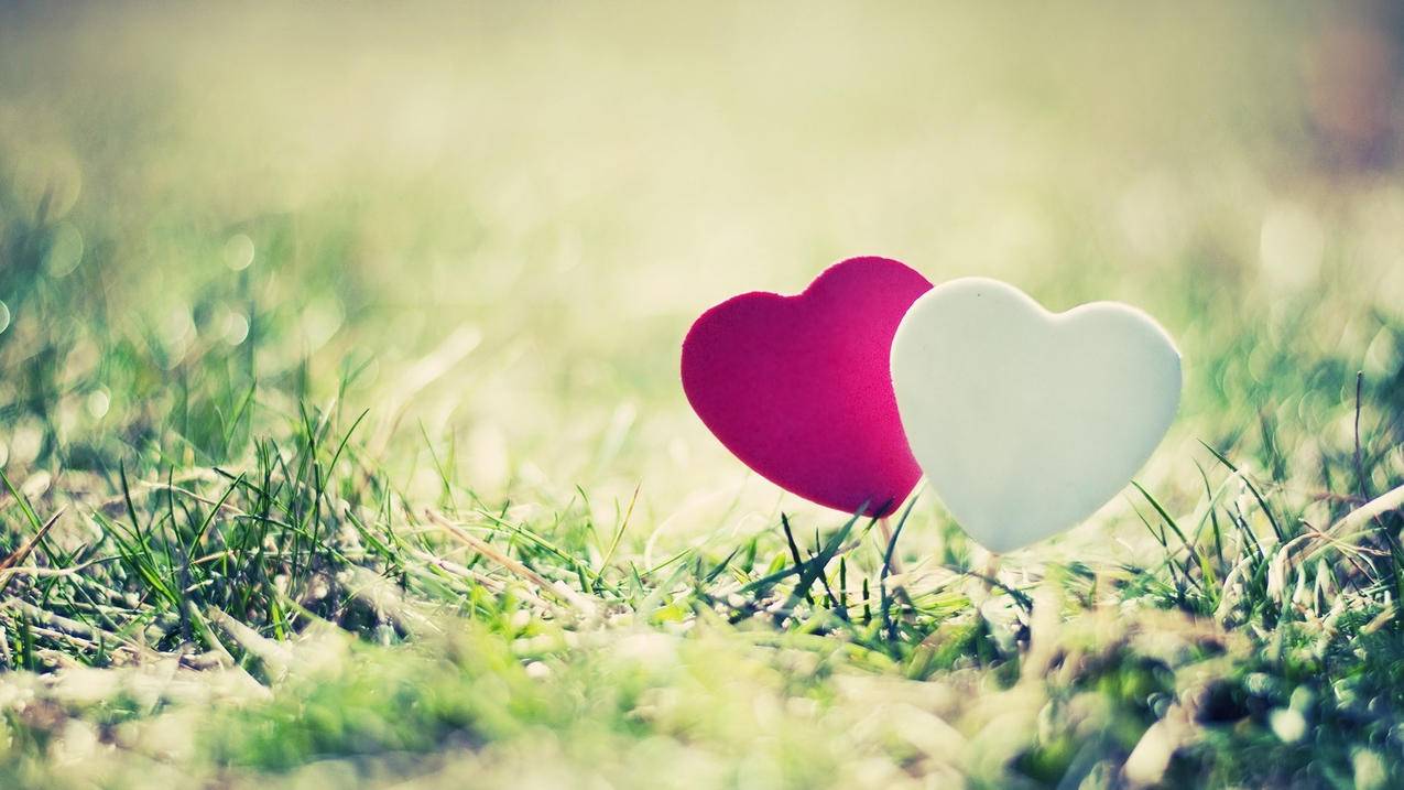 江西高中数学教材目录及版本信息是什么？ - 自助下单ks - ks24小时自助