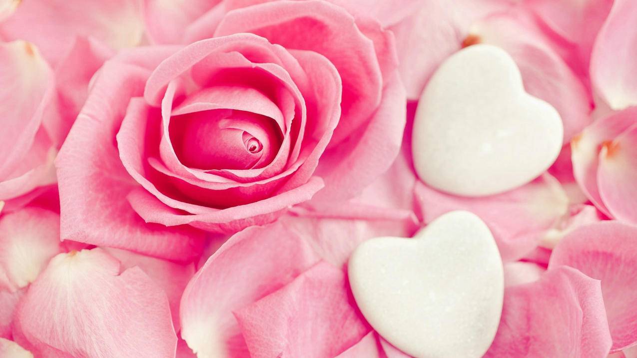 推特被冻结怎么重新创号  ( 推特注销了还能用同一个邮箱注册吗 ) - 55dz账号网