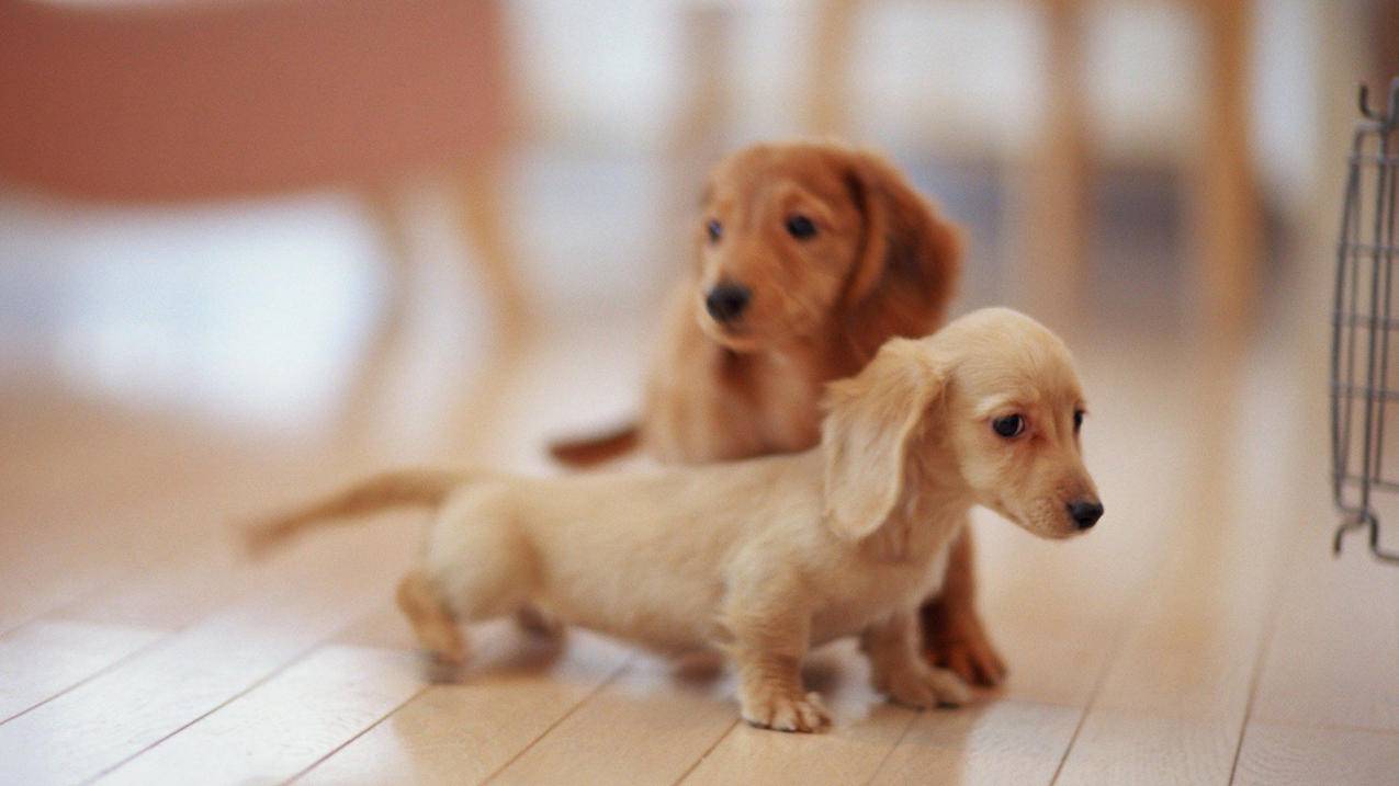 苹果id手机号码换了怎么更改 ， 苹果手机怎么修改id账号绑定的手机号码  - 55dz账号网