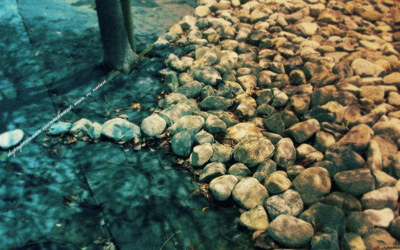 苹果手机电子邮件填什么_苹果手机的电子邮件填什么 - gmail相关 - 55dz账号网