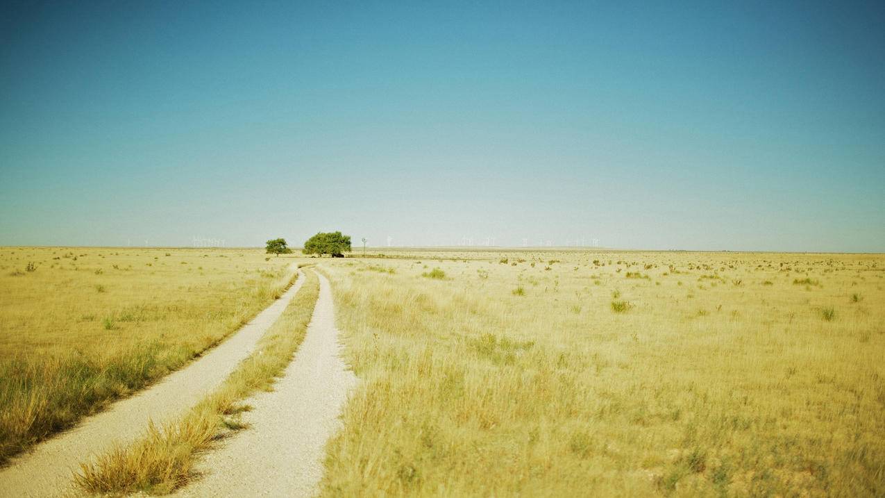 为什么抖音要定位-dy业务网