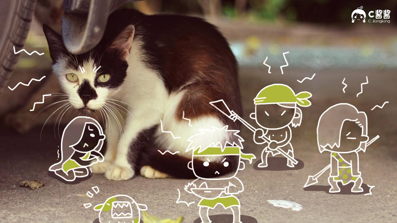 日本苹果id登录格式是什么样的_日本苹果id怎么填写 - 日本苹果ID - 55dz账号网