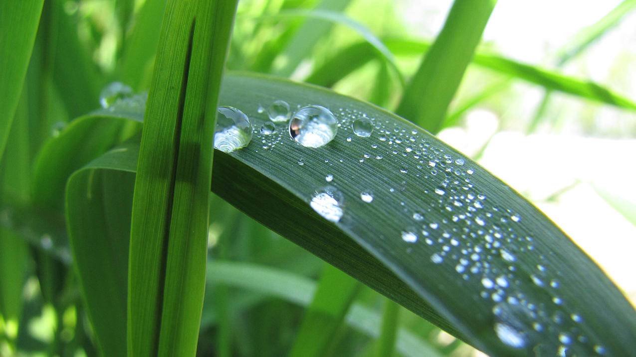 fgo日服最新版本下载_fgo日服最新版本下载安装 - 日本苹果ID - 55dz账号网