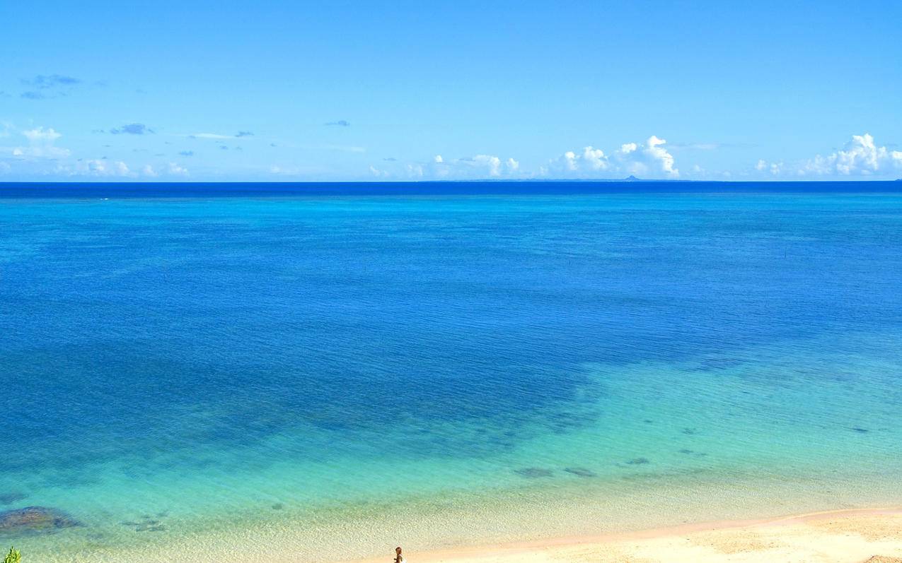 appleid被锁定怎么解除 ， apple id被锁定怎么解除  - 55dz账号网