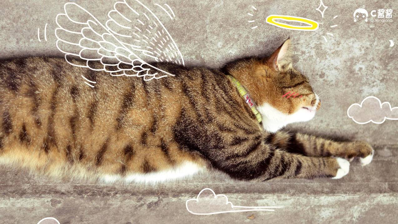 华为mate50怎么登ins  ( 安卓可以登录ins吗 ) - 55dz账号网