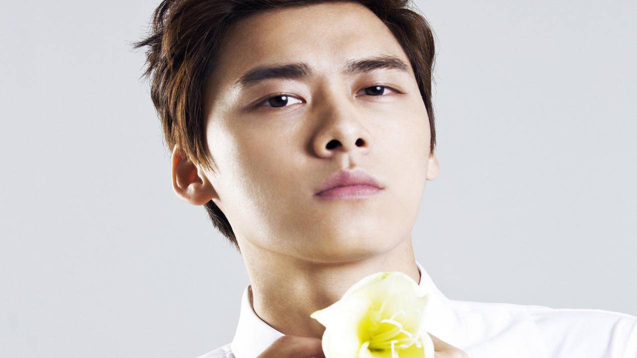 skype怎么演示桌面_skype演示桌面没画面 - skype相关 - 55dz账号网