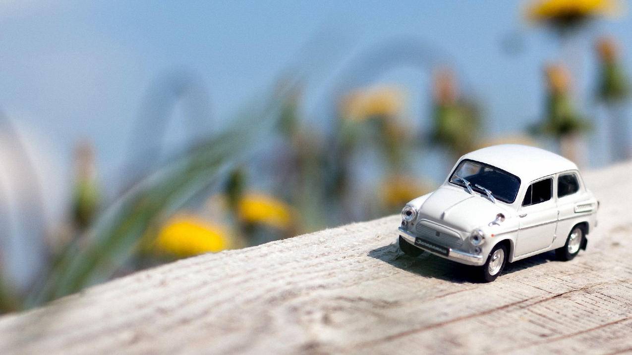 怎么退出苹果手机id账号 ， 苹果id停用了如何退出账号  - 55dz账号网