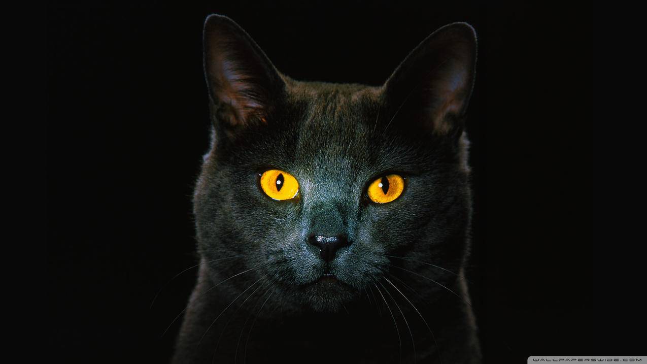 为什么退出香港苹果id还要密码_怎么退出香港id - 香港苹果ID - 55dz账号网