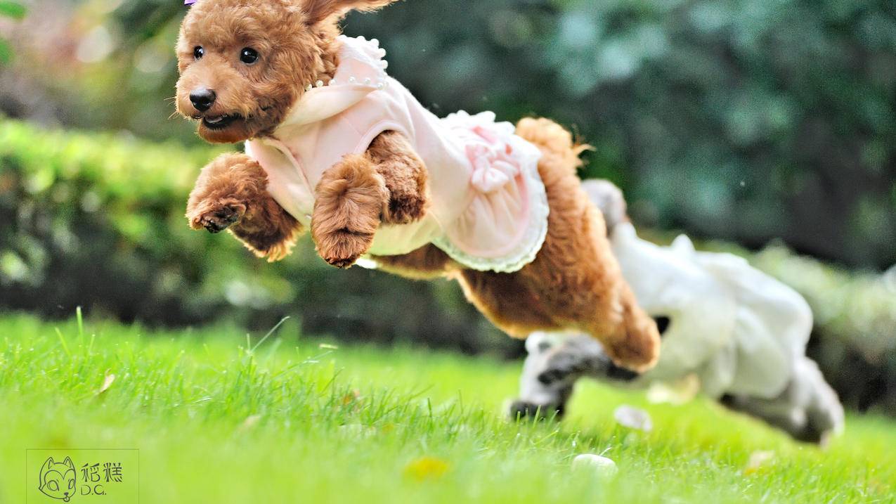 小红书如何养好号养权重 - 网络资讯 - ks业务下单