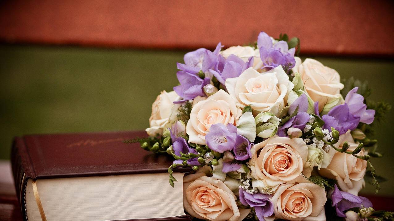 小赵代刷网_快手自动刷赞_卡盟官网平王者 - 六一qq刷赞网