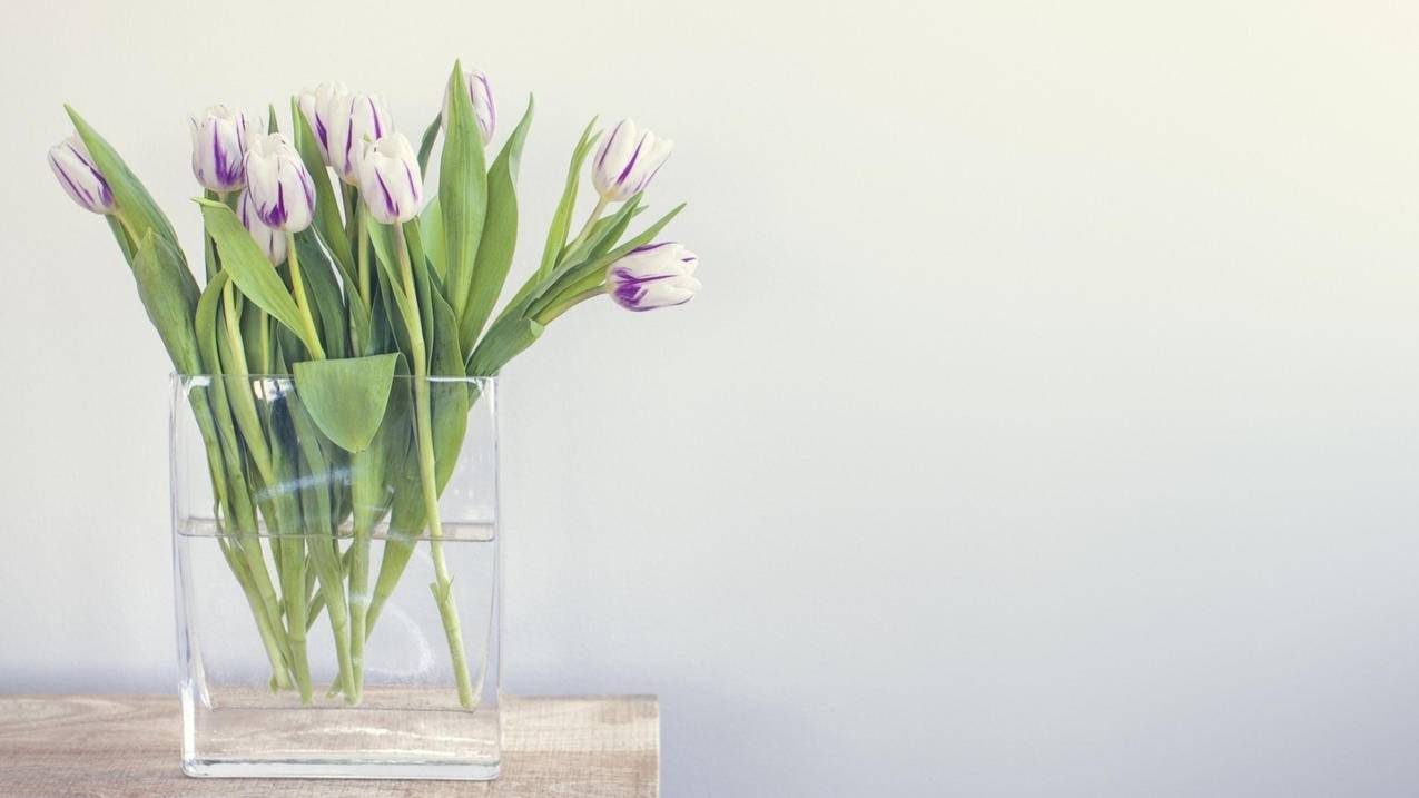 模拟器怎么玩日服明日方舟_模拟器怎么玩日服明日方舟 - 日本苹果ID - 55dz账号网