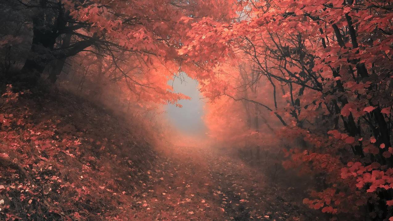 哪里有苹果id贷_苹果ID贷怎么贷 - 各区苹果ID - 55dz账号网