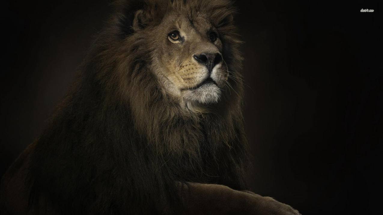 禁止googleplay更新_禁止google play更新 - google相关 - 55dz账号网