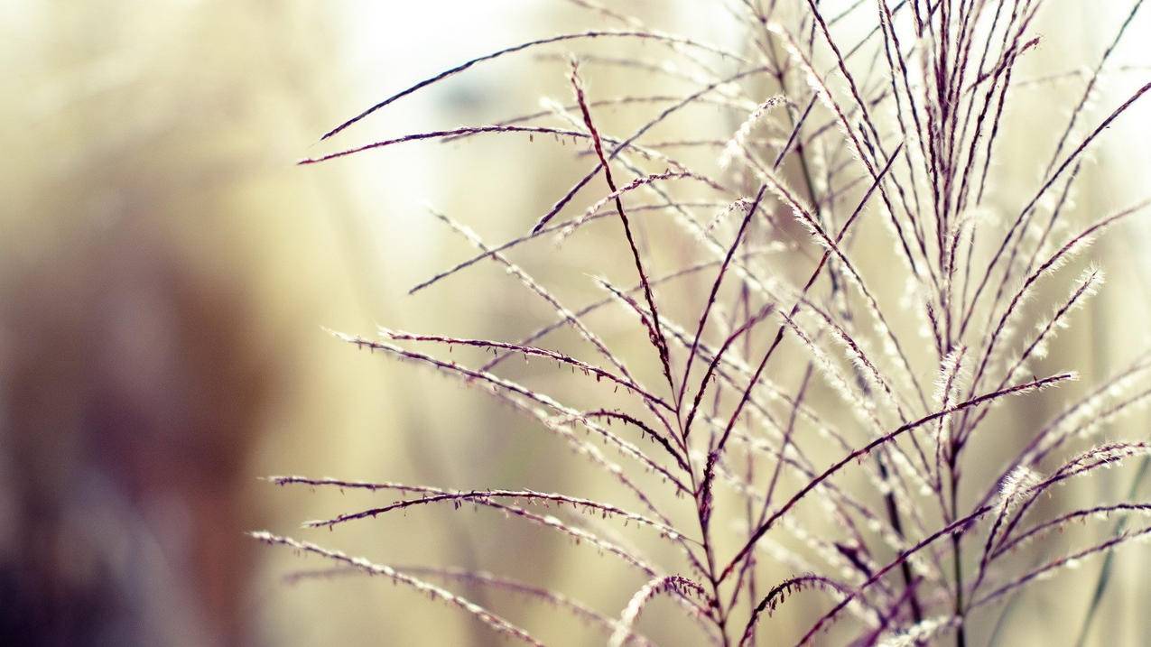 tiktok兑换代码_tiktok源代码 - 苹果APP下载 - 55dz账号网