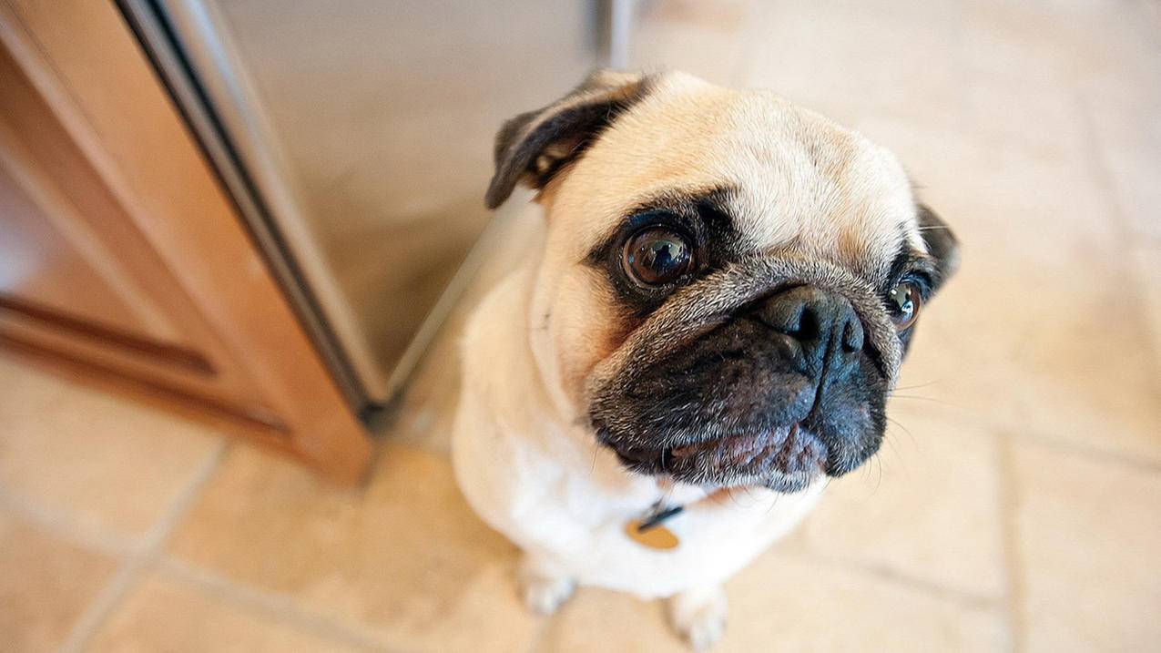 初中数学答题卡如何设置，如何设置初中数学答题卡？ - 初中教育 - ks24小时自助