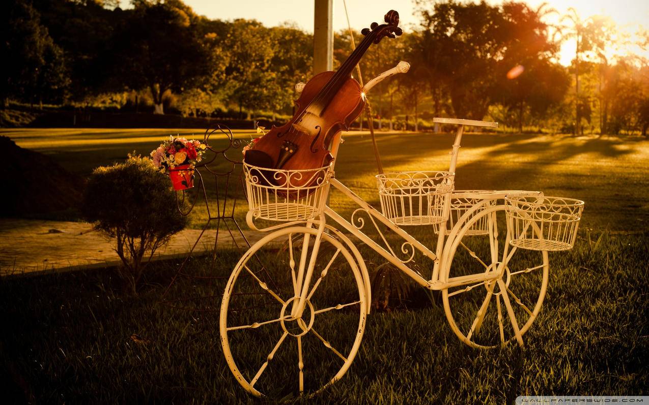 越南苹果id显示网络无法连接 - 各区苹果ID - 55dz账号网