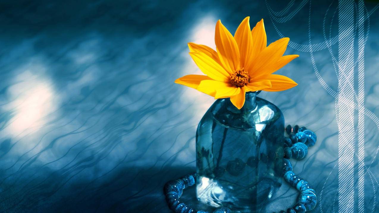 苹果ID显示此时无法创建账户怎么回事? ， 苹果手机创建ID出现问题是怎么回事?  - 55dz账号网