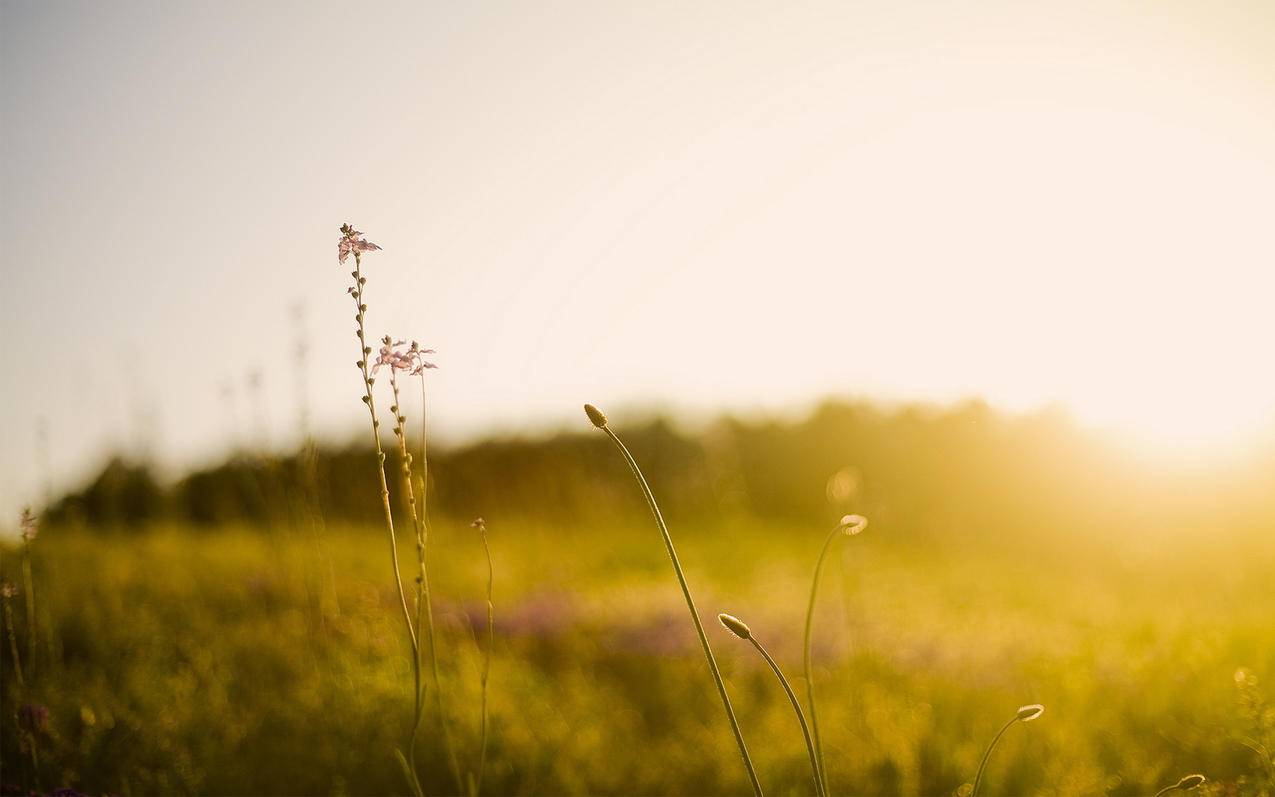 个人邮箱怎么填_个人联系邮箱怎么填 - gmail相关 - 55dz账号网