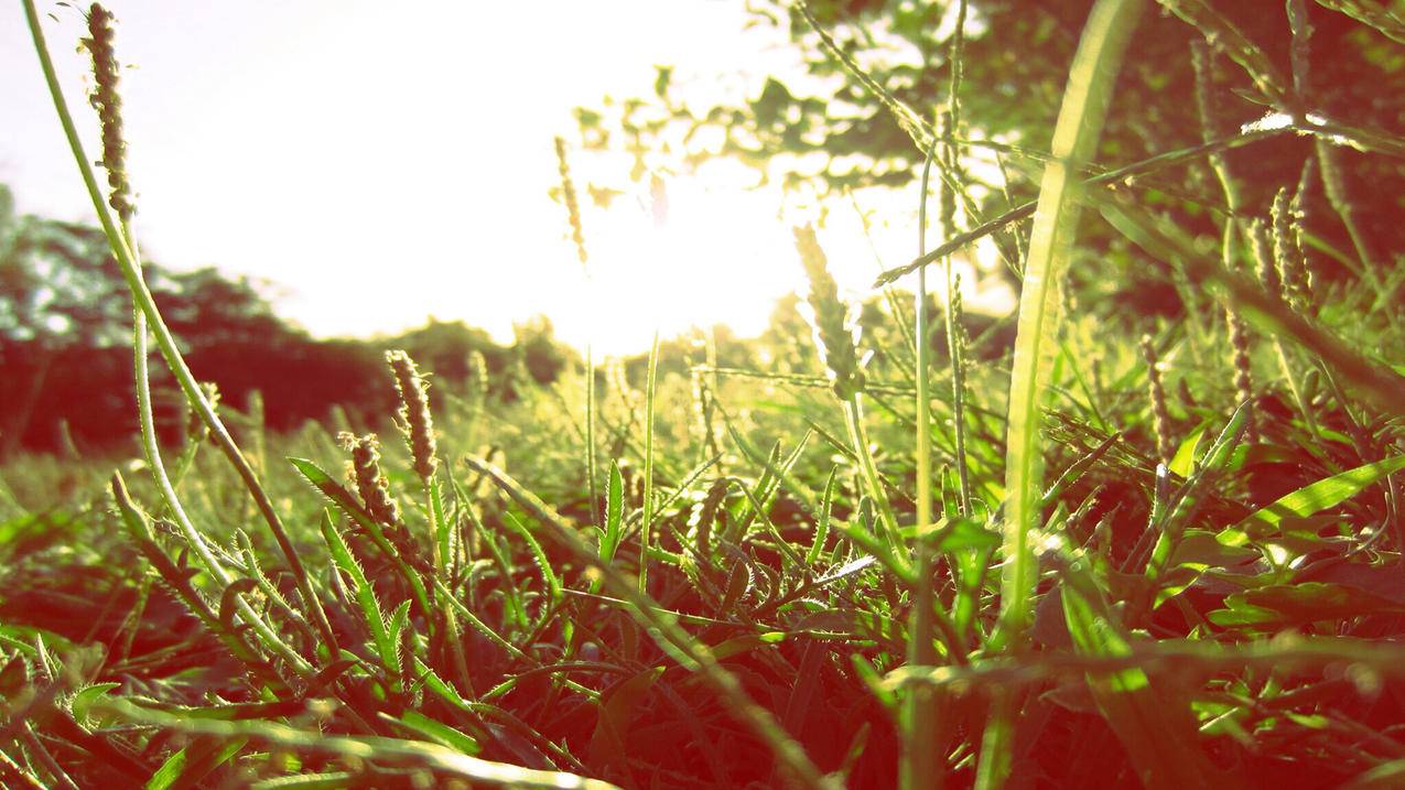 话费代刷网-快手刷10万赞要多少钱,快手快手刷赞上热门,刷赞平台快手粉丝50