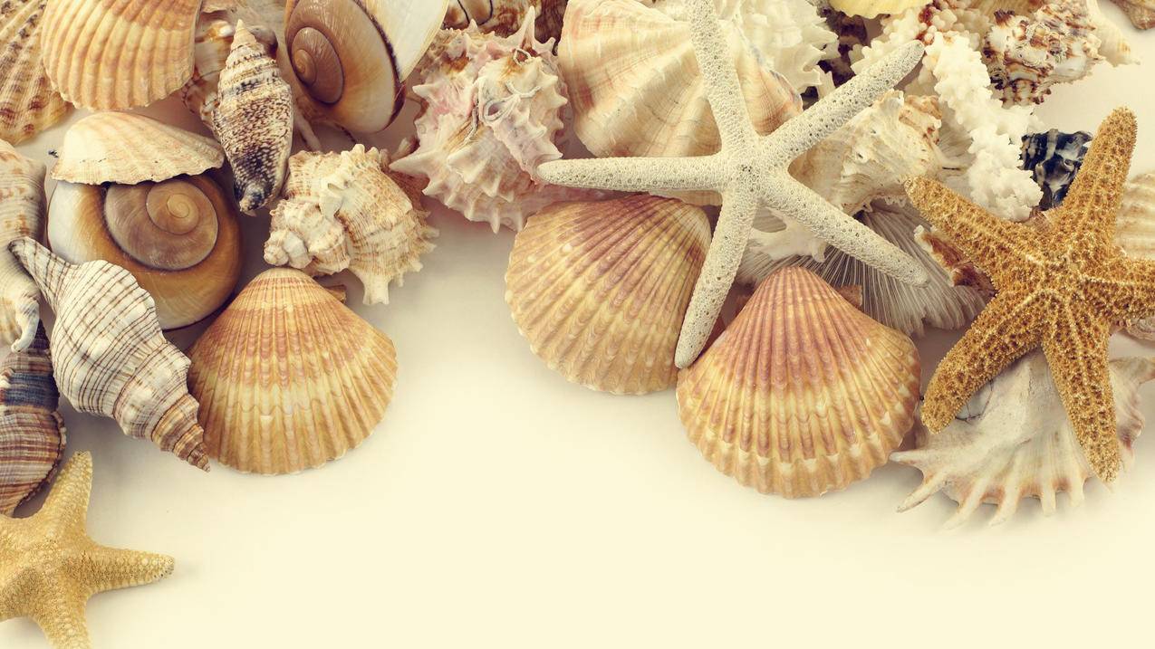 如何巧妙引入初中数学课程以提高学生兴趣？ - 初中教育 - ks24小时自助