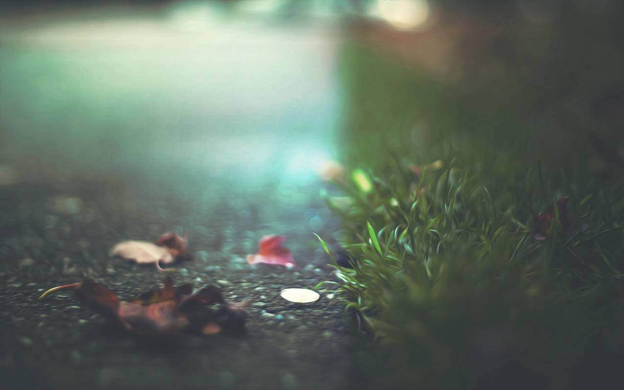 fifaonline4球队战术怎么调_fifaonline4个人战术应该怎么设置 - Line相关 - 55dz账号网