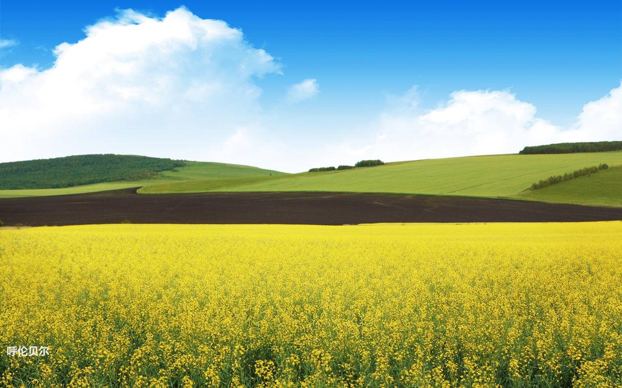 苹果香港appleid密码被锁定了怎么办_appleid密码错误被锁定怎么办 - 香港苹果ID - 55dz账号网