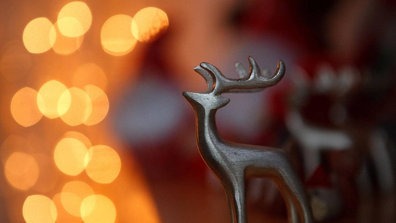 下载邮箱到手机上_我要在手机上下载电子邮箱怎么下载呢? - gmail相关 - 55dz账号网