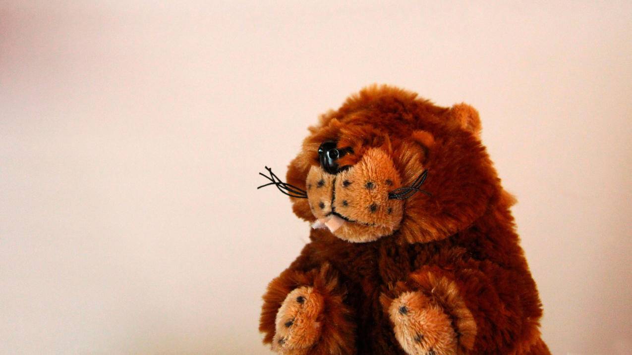 苹果手机怎么找回香港appleid账号_appleid怎么注册 - 香港苹果ID - 55dz账号网