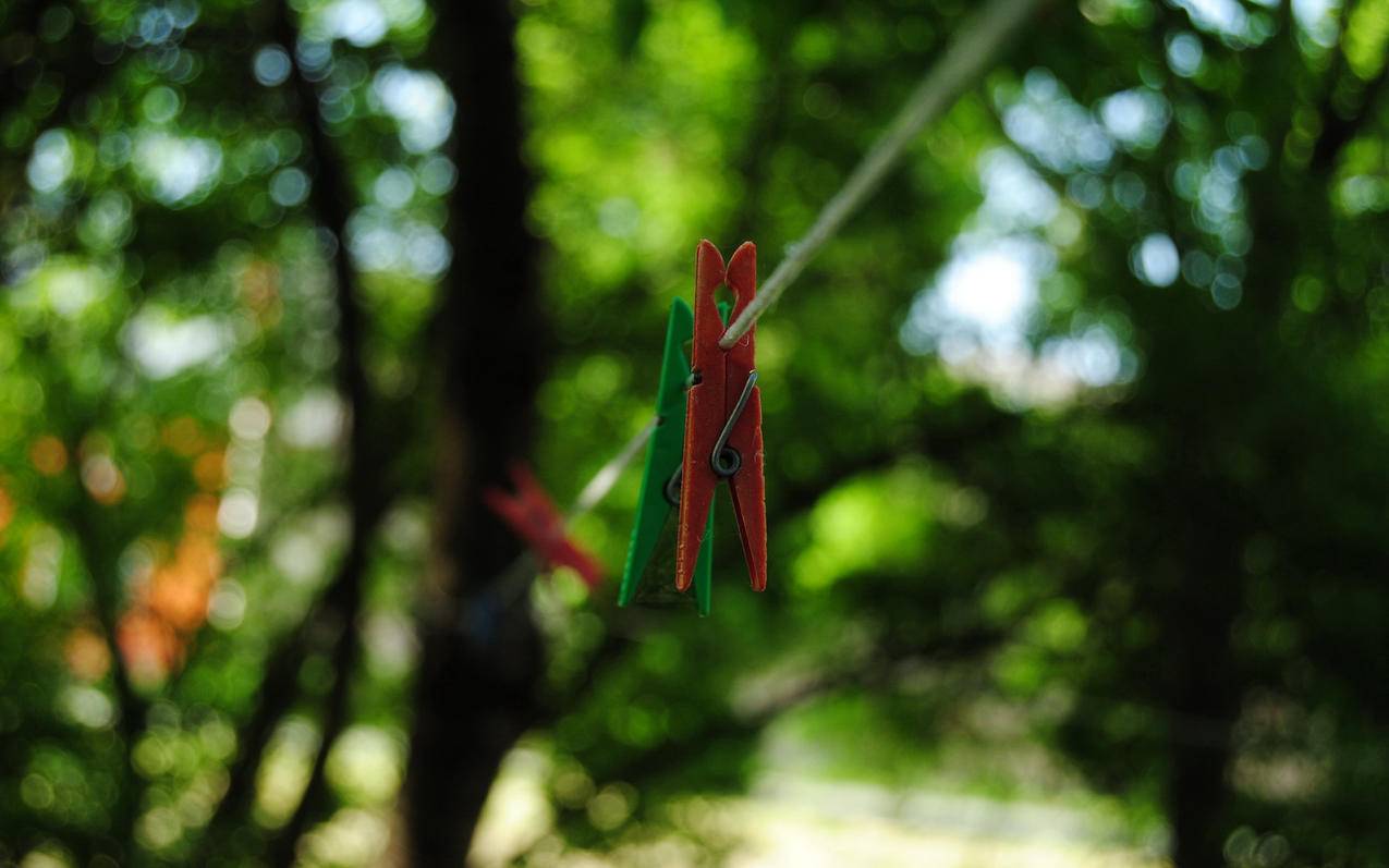 爱思极速版怎么下载?  ( 苹果手机下载爱思极速版怎么下载呢? ) - 55dz账号网