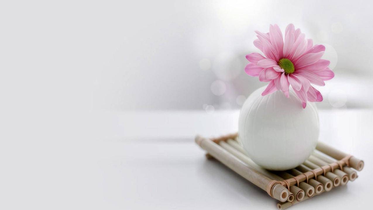 恐怖油管视频打码_恐怖油管视频打码在线观看 - youtube相关 - 55dz账号网