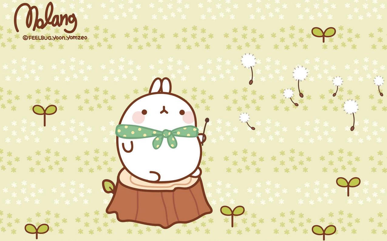 一个韩国苹果id来电怎么设置不同步_苹果手机一个id怎么关闭同步来电 - 韩国苹果id - 55dz账号网