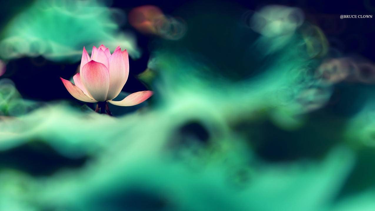 苹果id账号怎么更改绑定新的手机号码? ， 苹果手机怎么修改绑定的手机号码?  - 55dz账号网