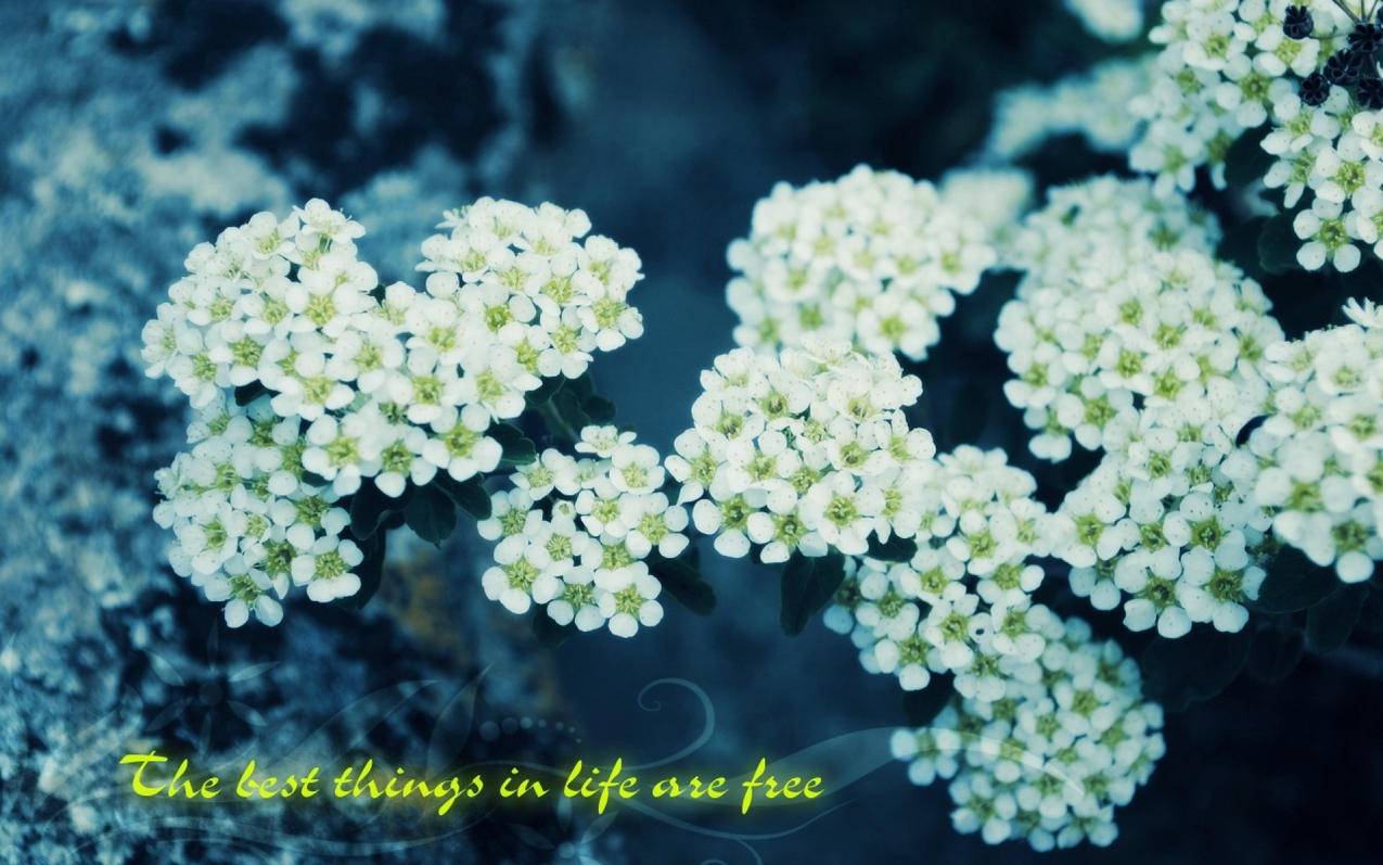 为什么台湾appleid验证失败_iphone登id验证失败 - 台湾苹果ID - 55dz账号网