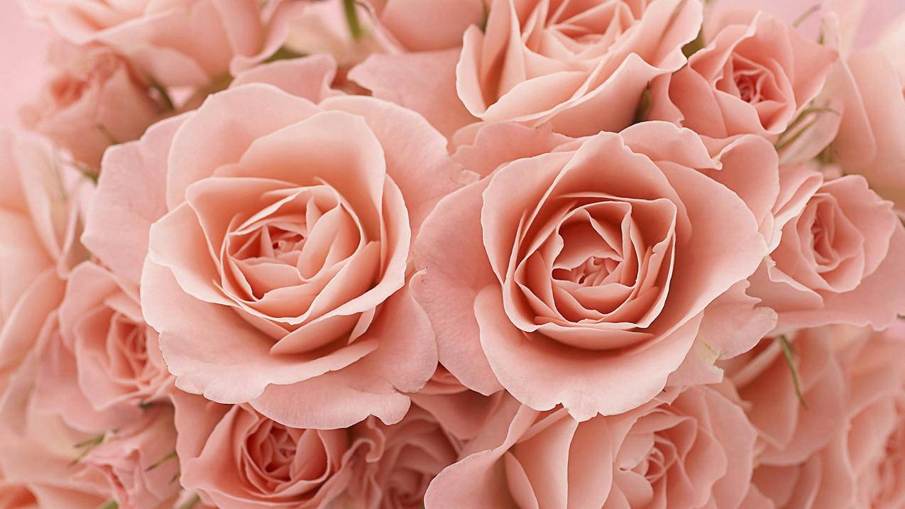 个人邮箱怎么填_个人联系邮箱怎么填 - gmail相关 - 55dz账号网