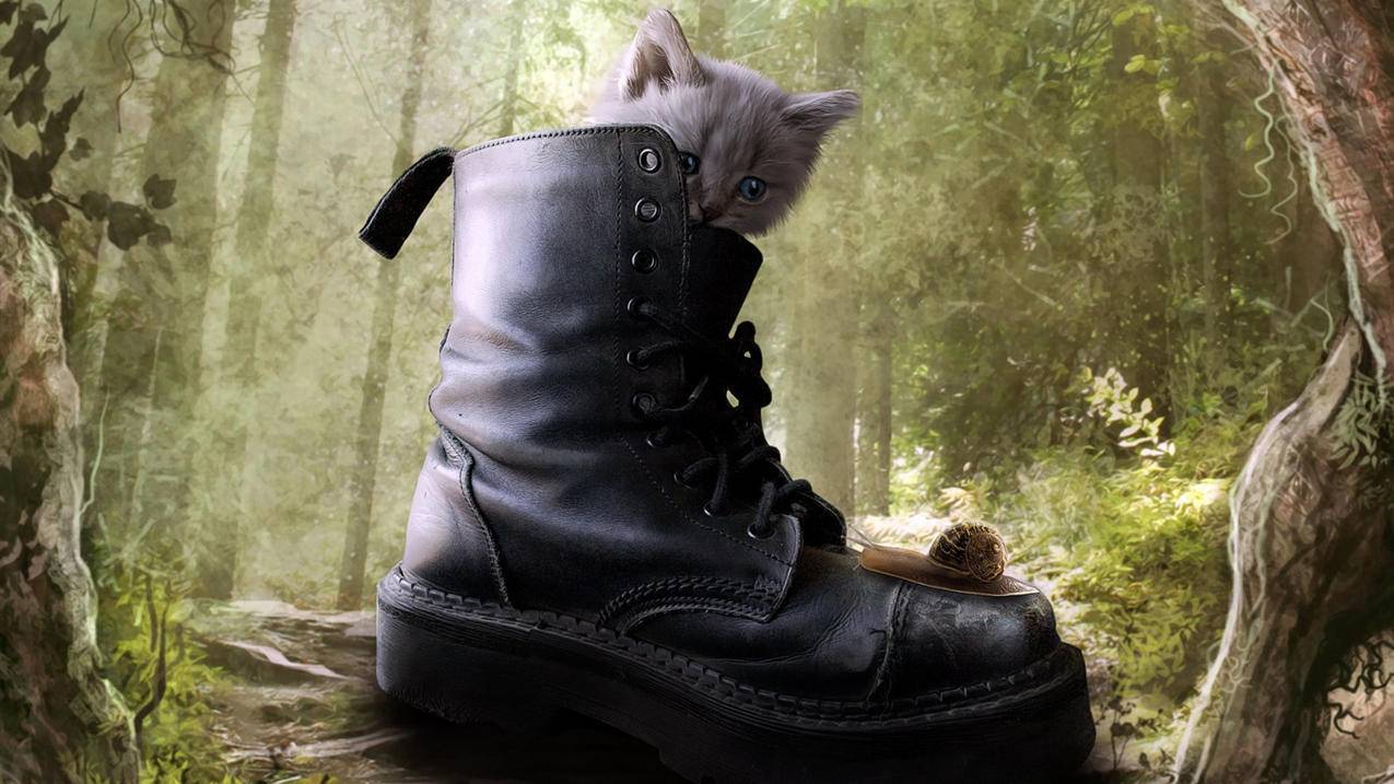 免费socket代理ip_apache socket代理 - 注册外服方法 - 55dz账号网