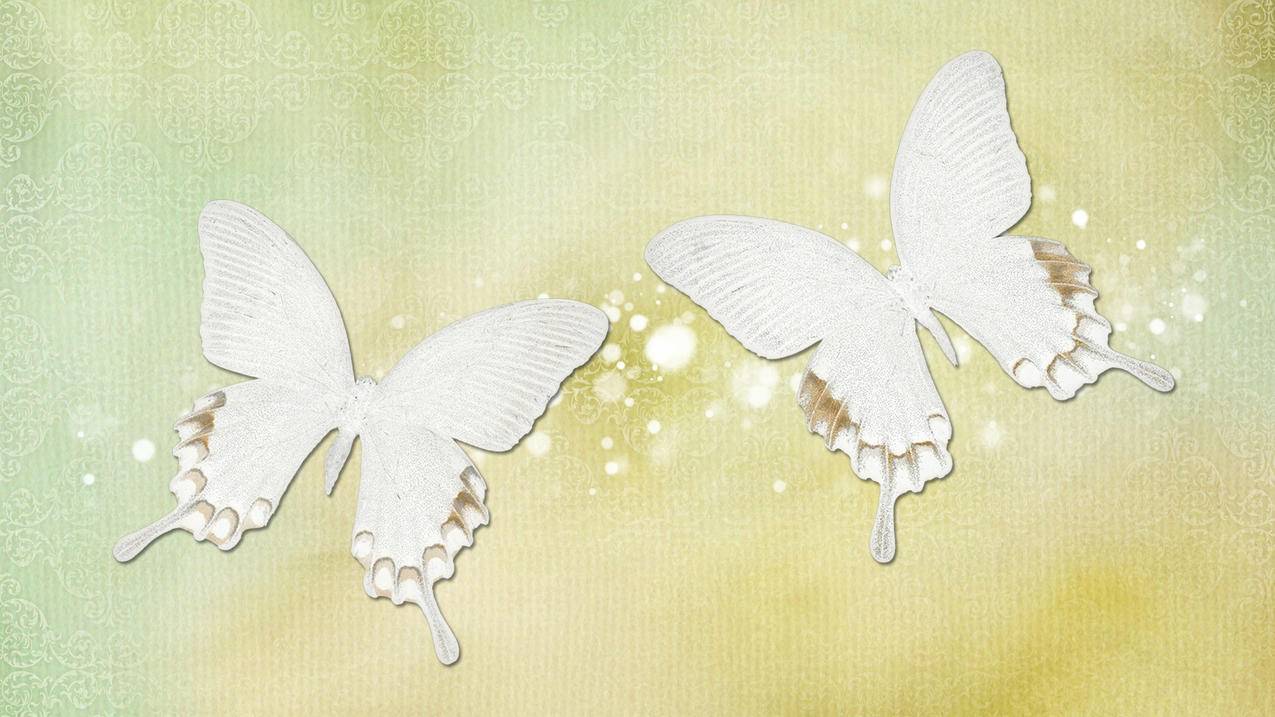 低价代刷网 - 0.1元10万赞,抖音全网最稳最低价自助下单平台_抖音怎样快速涨粉新手