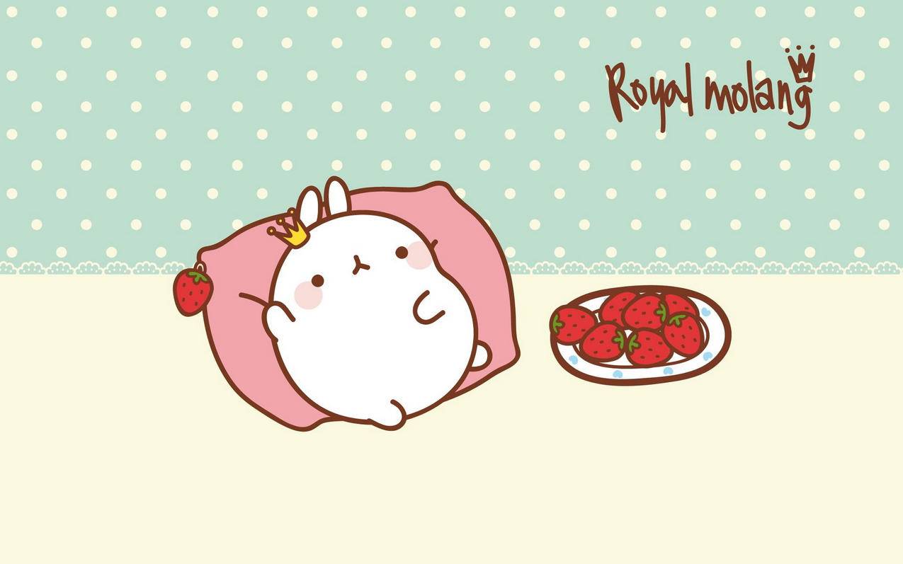 oppo手机怎么下载油管_怎么在oppo手机上下载 - youtube相关 - 55dz账号网