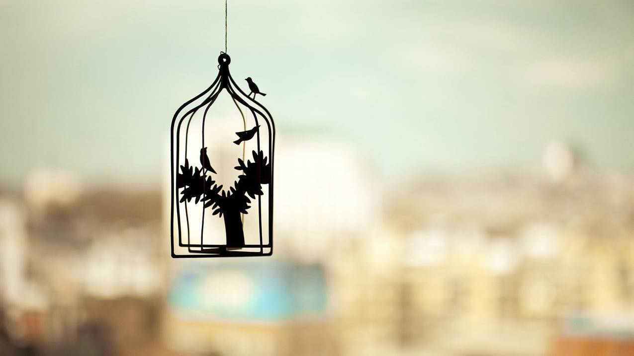 rocketios的简单介绍 - 注册外服方法 - 55dz账号网