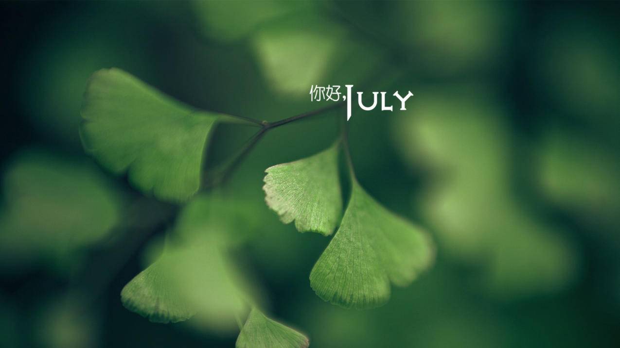 为什么越南苹果id邮箱收不到验证码 - 各区苹果ID - 55dz账号网