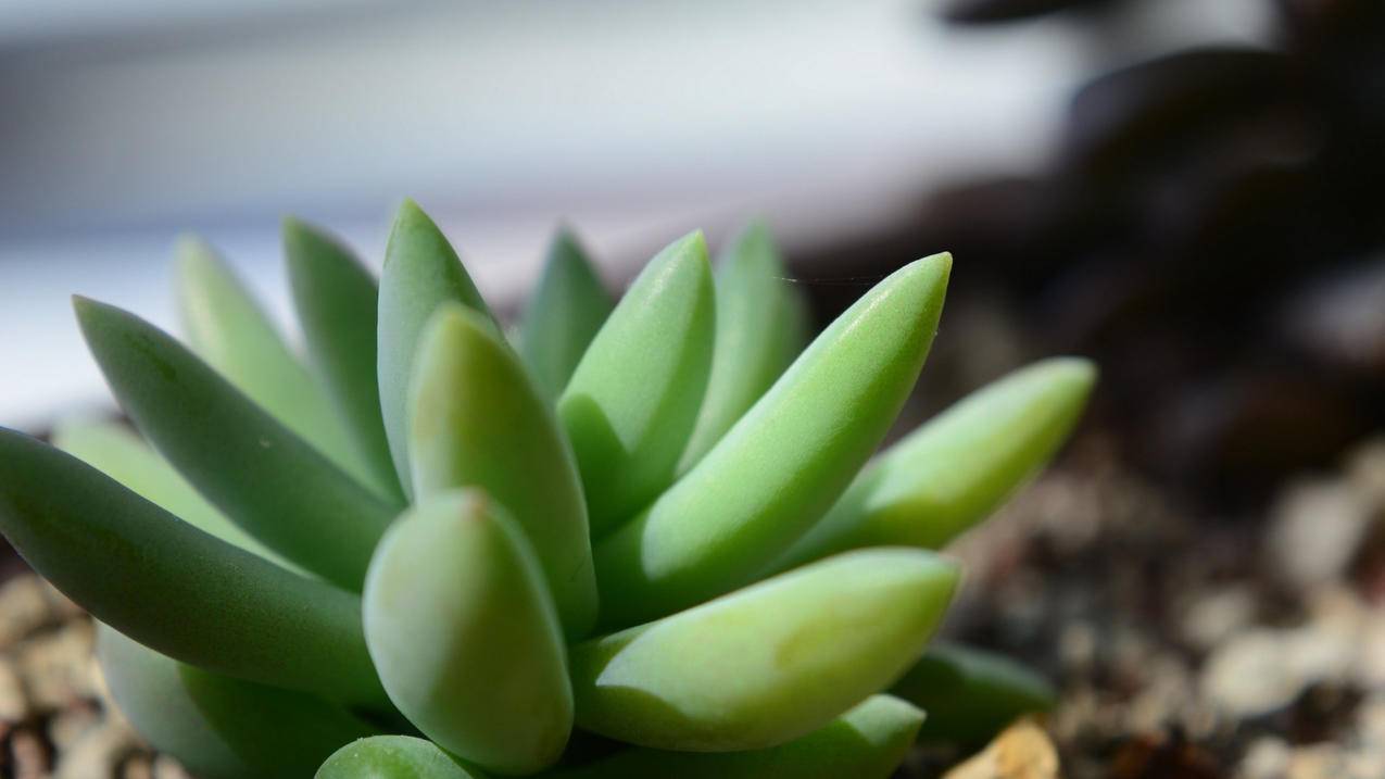 做跨境电商有什么要求和条件？普通人做跨境电商门槛-苹果id平台