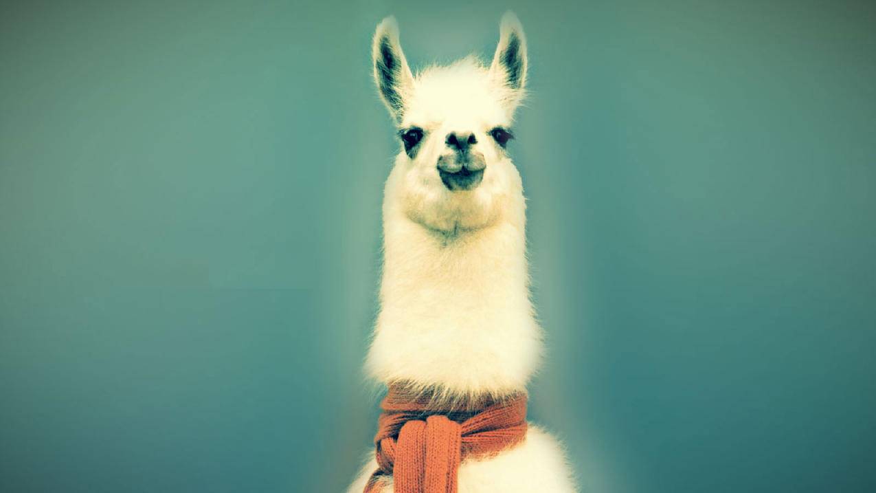 卡盟快手粉丝1元100 - 快手最低价刷赞网,qq代刷赞网站免费版