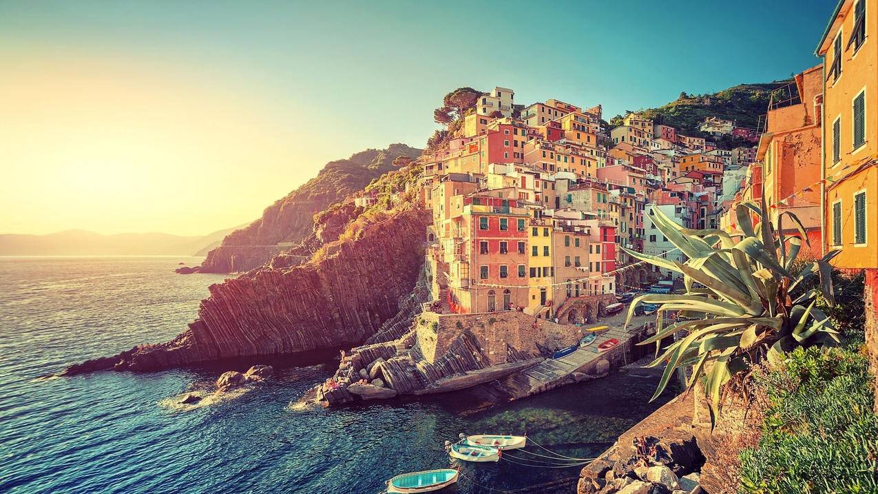 zoom会议下载官网_ZOOM会议官方下载 - zoom相关 - 55dz账号网